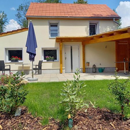 Ferienhaus Richtermuehle Sebnitz Bagian luar foto