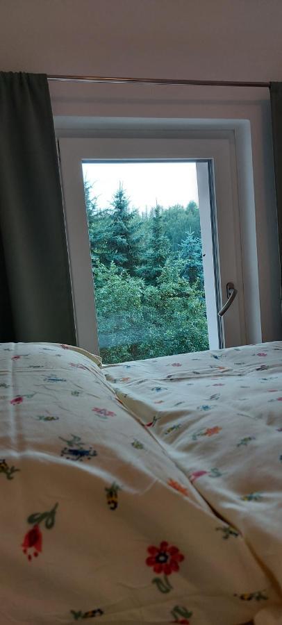 Ferienhaus Richtermuehle Sebnitz Bagian luar foto