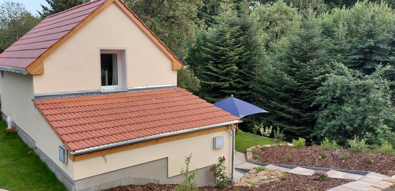 Ferienhaus Richtermuehle Sebnitz Bagian luar foto