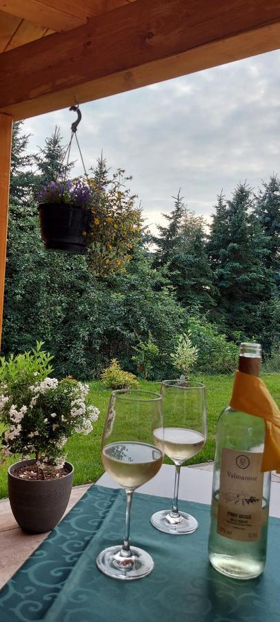 Ferienhaus Richtermuehle Sebnitz Bagian luar foto